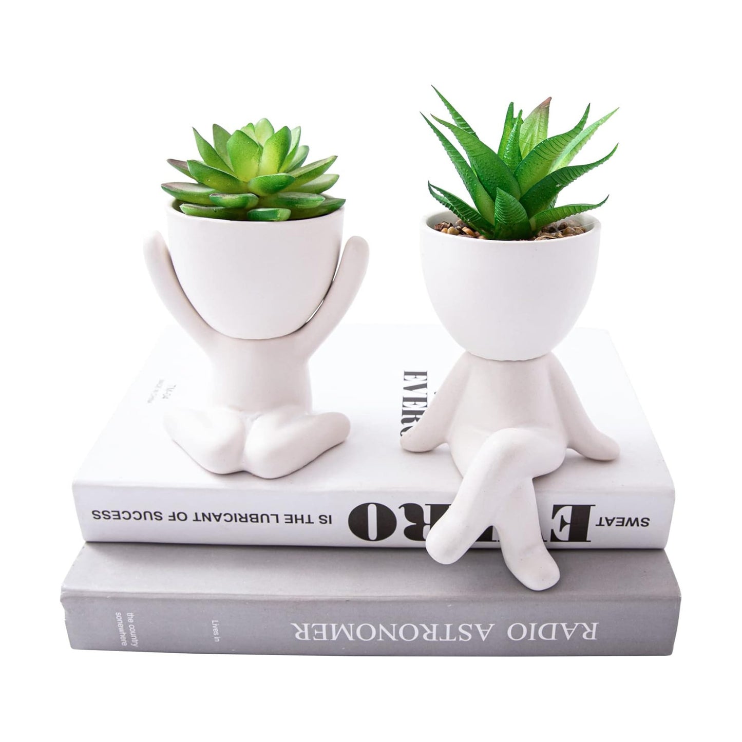 Unique Artificial Plants Succulents Office Decor for Women / A, Morden White Figurine / Set of 2