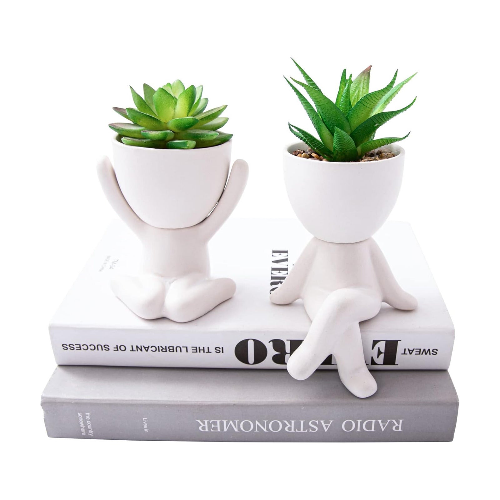 Unique Artificial Plants Succulents Office Decor for Women / A, Morden White Figurine / Set of 2