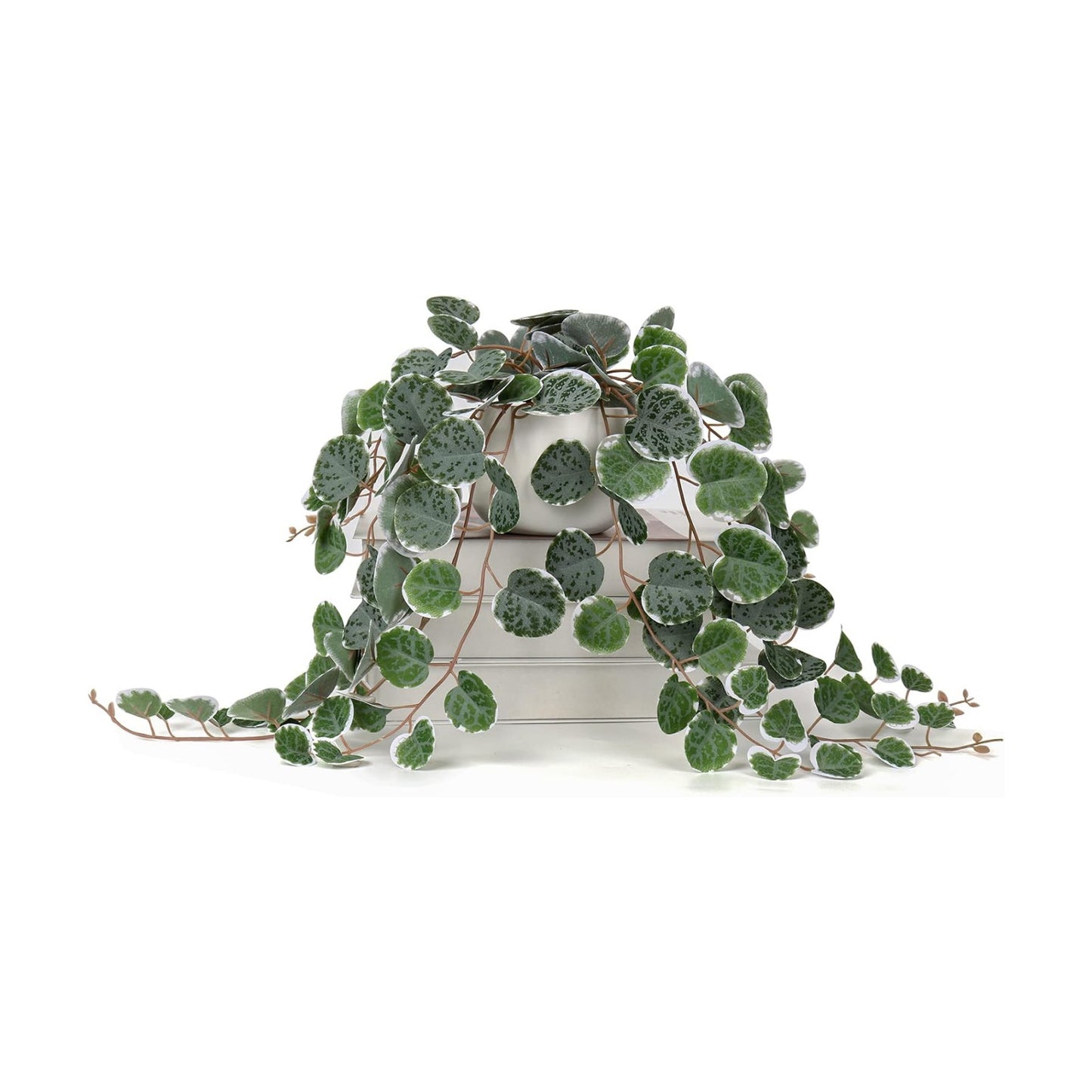 Ceramic Pot Faux Draping Vine Plants / Green