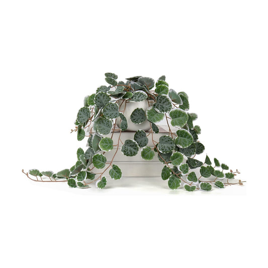 Ceramic Pot Faux Draping Vine Plants / Green
