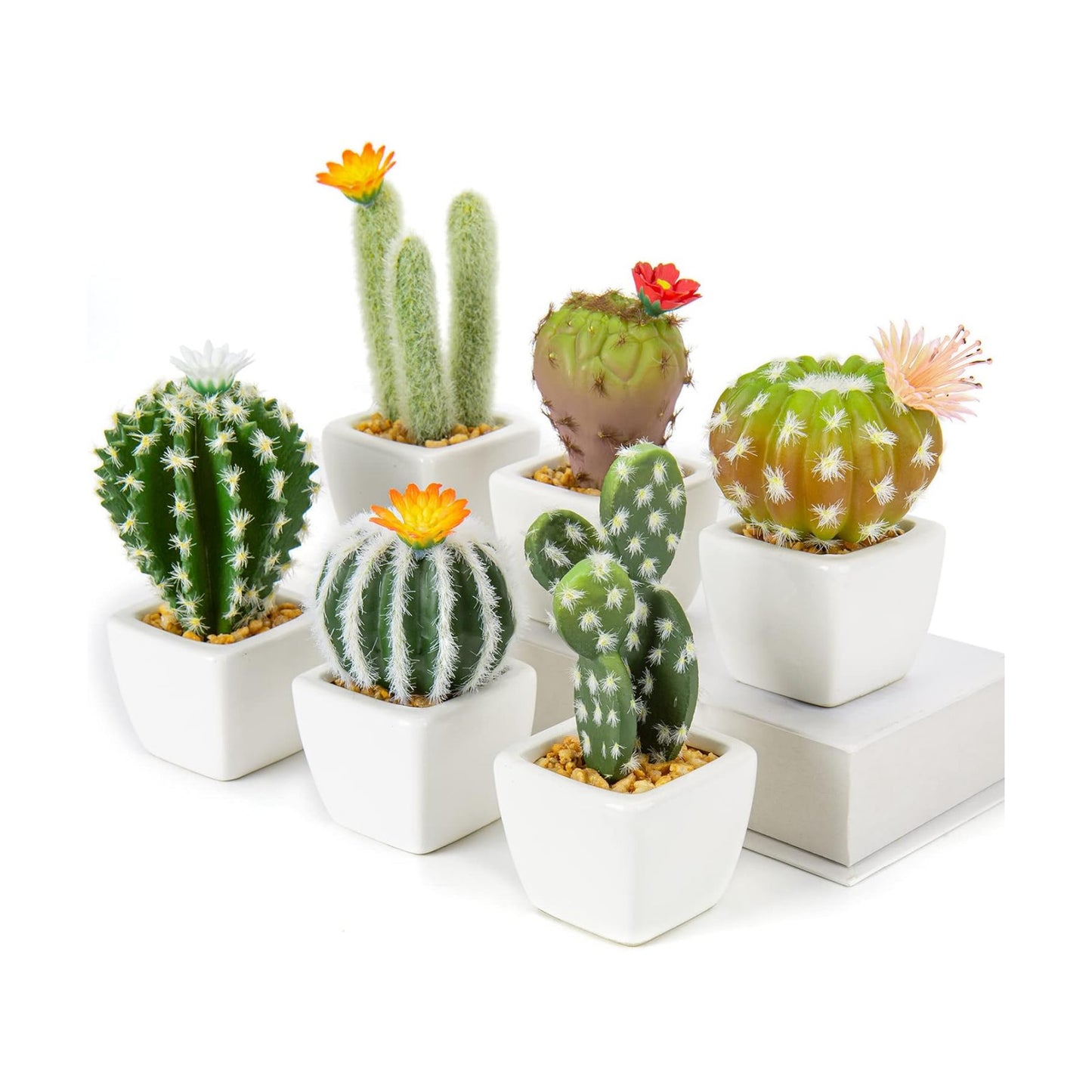 Mini Artificial Cactus Plants in Ceramic Pots Potted Faux Succulents in Pots Fake / White / Set of 6