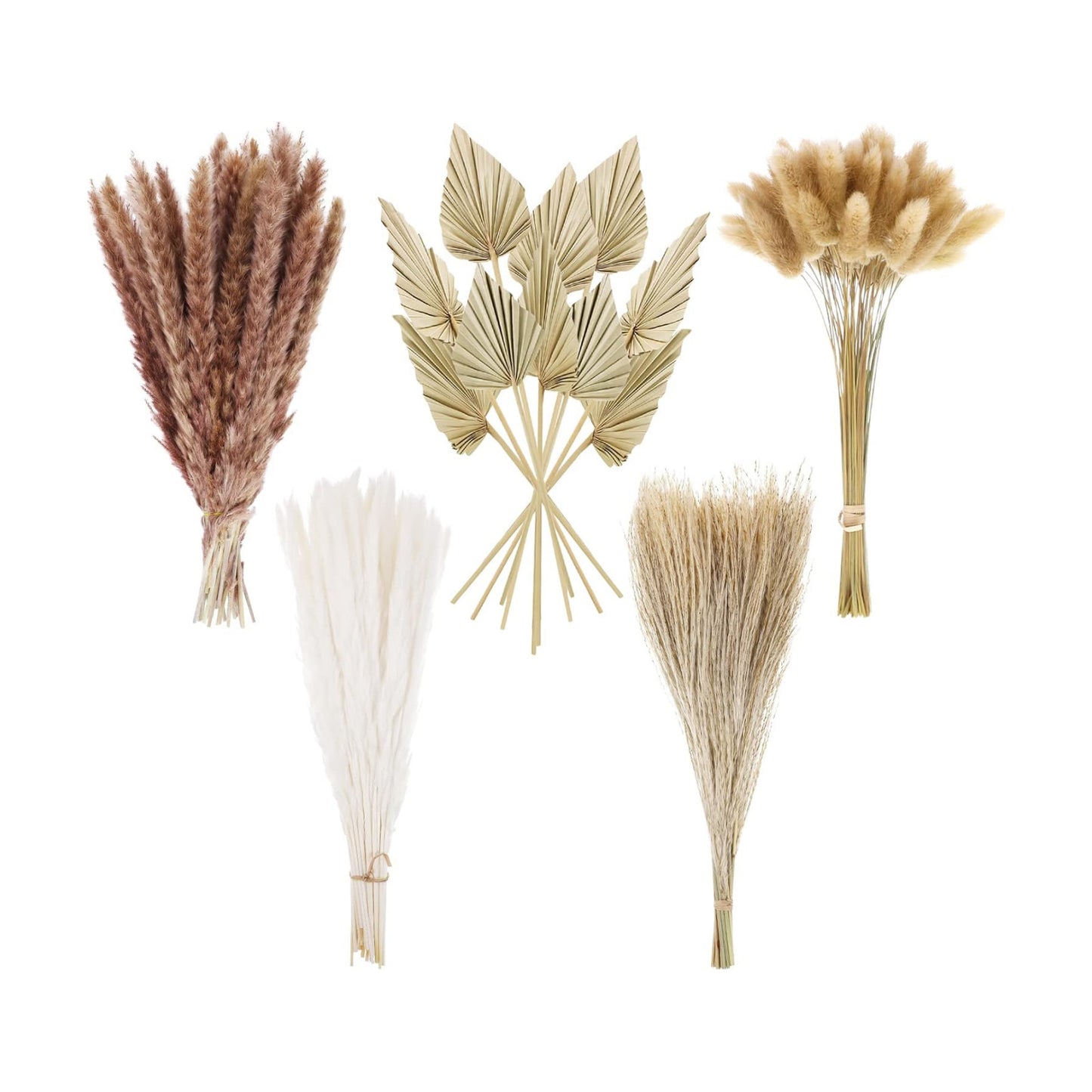 Dried Pampas Grass Decor Bulk / Set of 110
