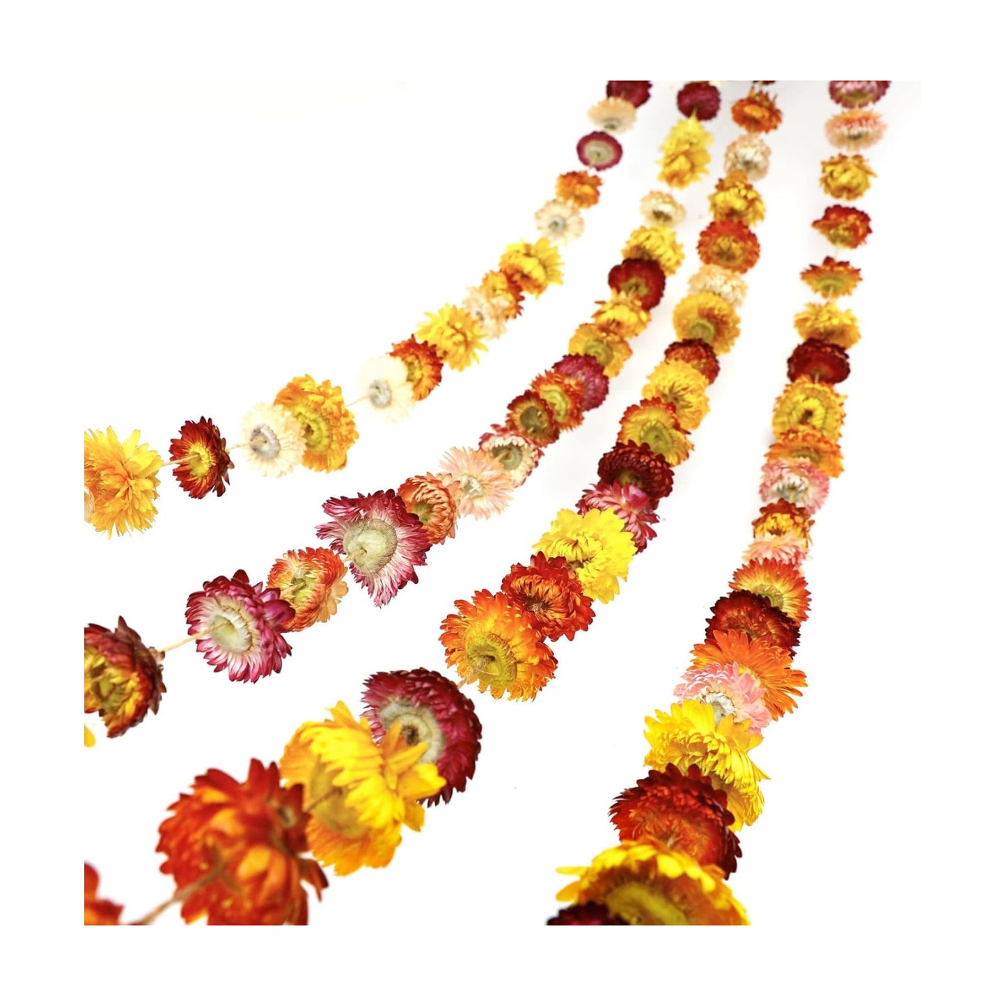 Dried Flowers Garland Real Daisy Sunflower Garlands Dry Flower Chain / 6.6 Inch