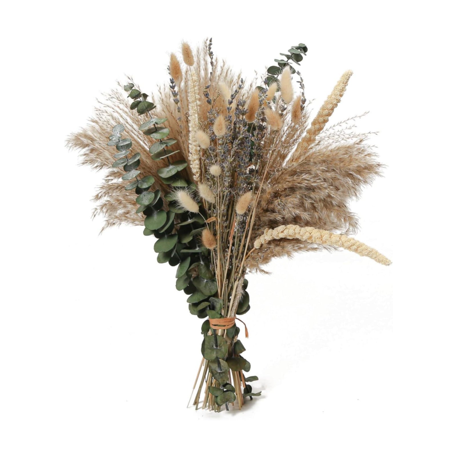 Dried Flowers Bouquet / Eucalyptus
