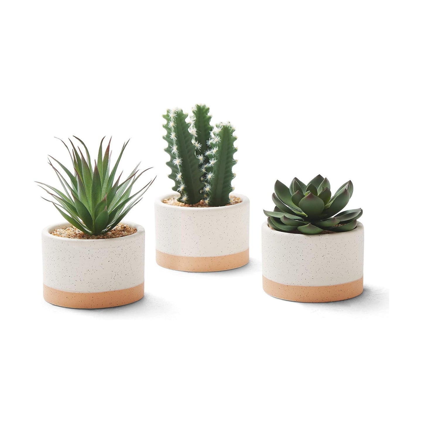 Artificial Succulent Plants in Ceramic Pots / Burlywood