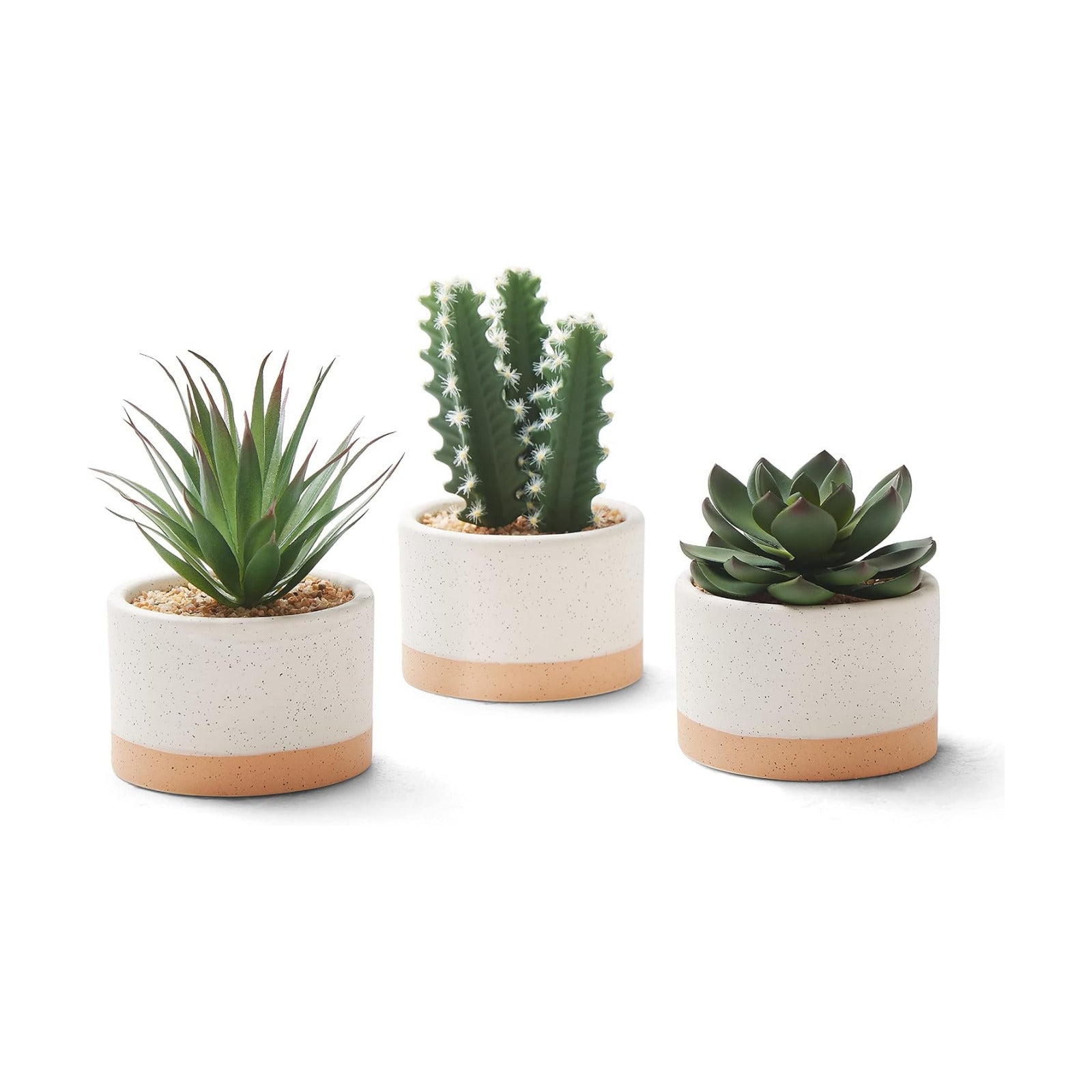 Artificial Succulent Plants in Ceramic Pots / Burlywood