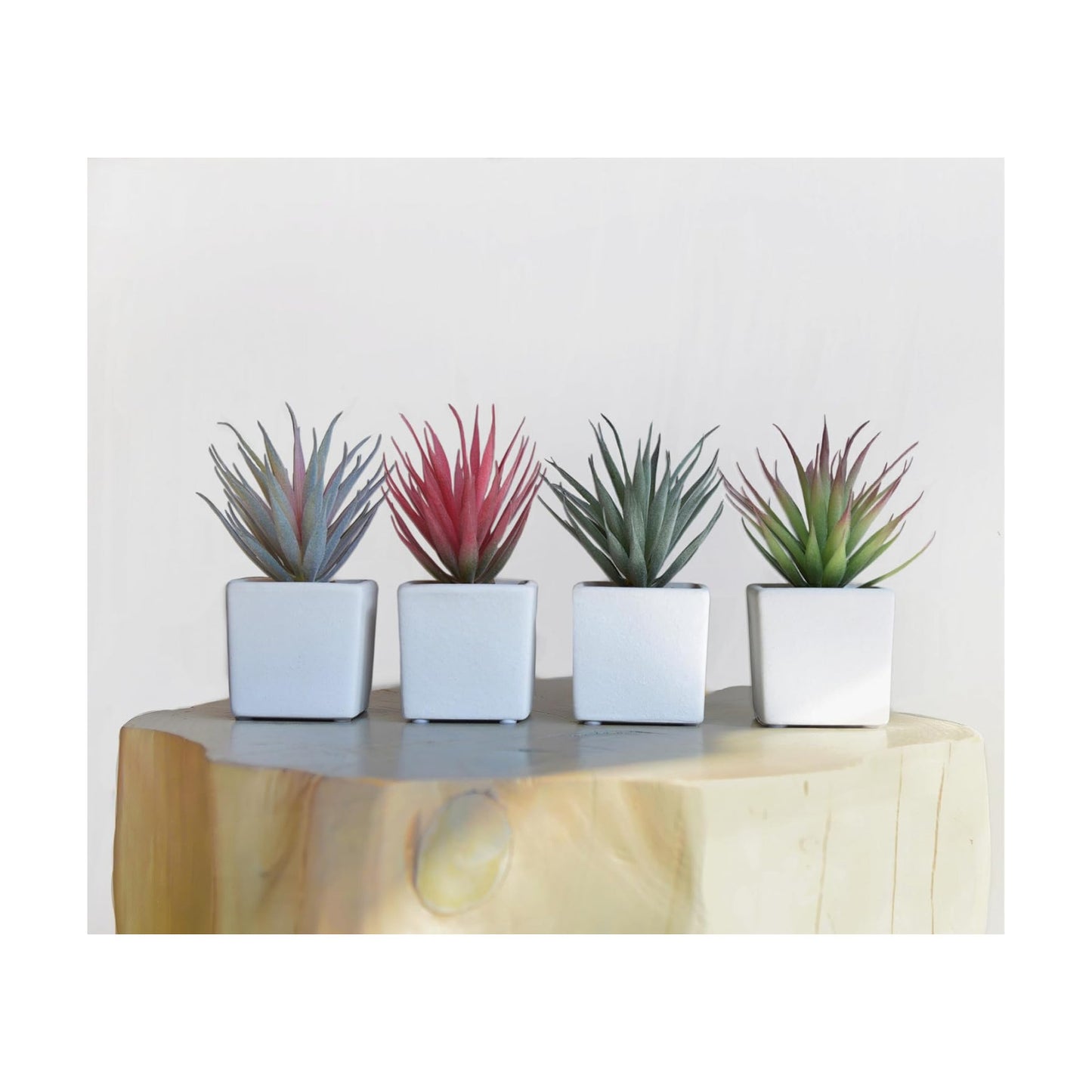 Faux Succulents 7" Tall in Ivory White Stucco Ceramic / White, Pink, Green. / Set of 4