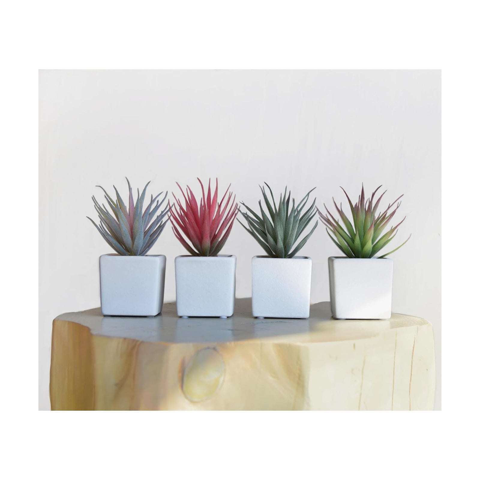 Faux Succulents 7" Tall in Ivory White Stucco Ceramic / White, Pink, Green. / Set of 4