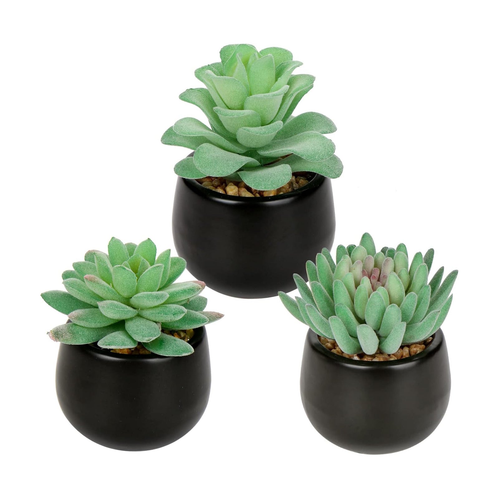 Artificial Succulents Fake Plants Mini Succulents Potted in Ceramic / Type / Black / Set of 3