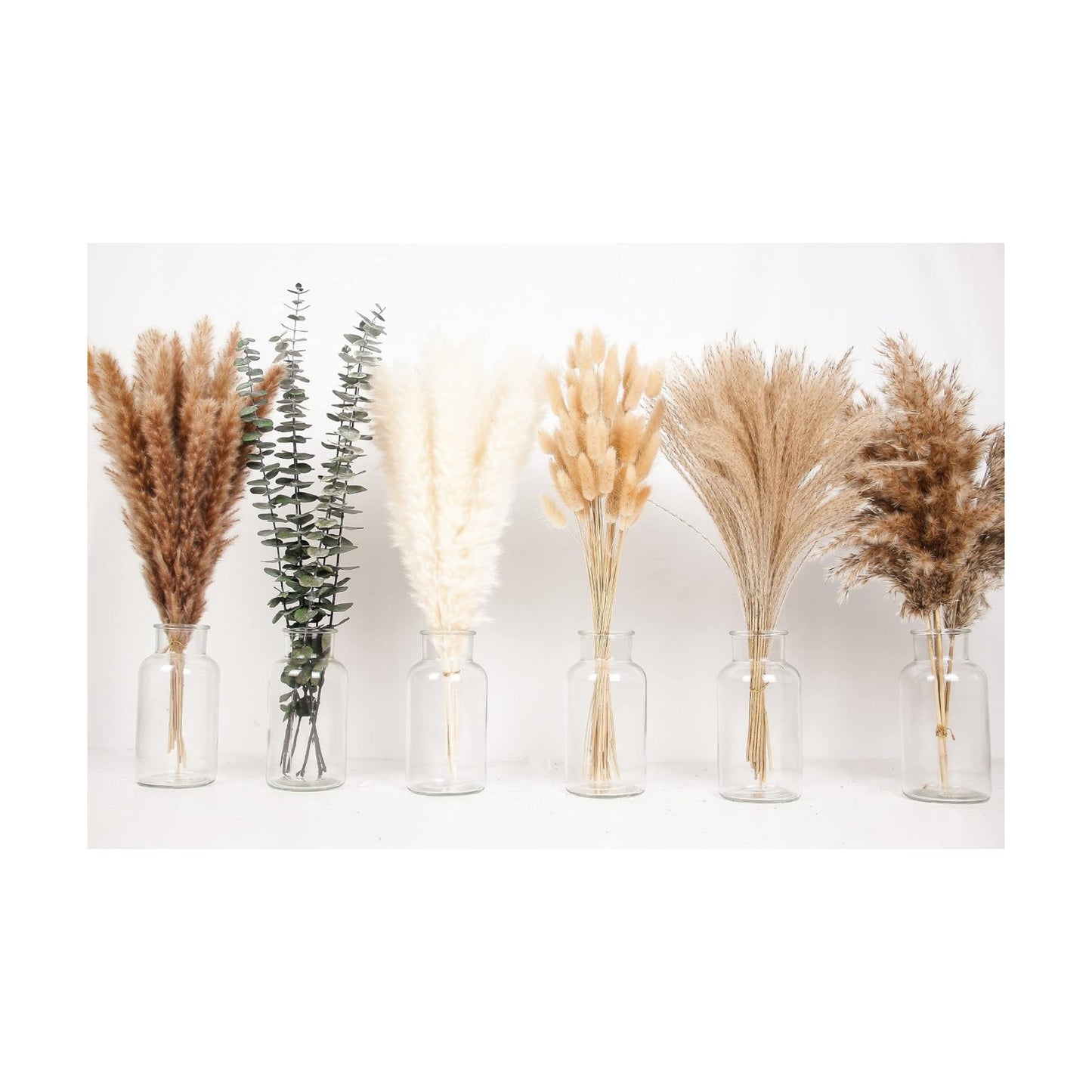 Bunny Tails Dried Flowers / 14-17inch Mixed / Set of 110