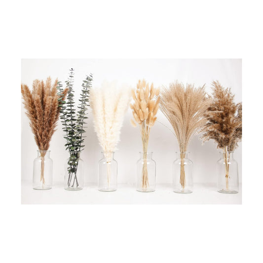 Bunny Tails Dried Flowers / 14-17inch Mixed / Set of 110