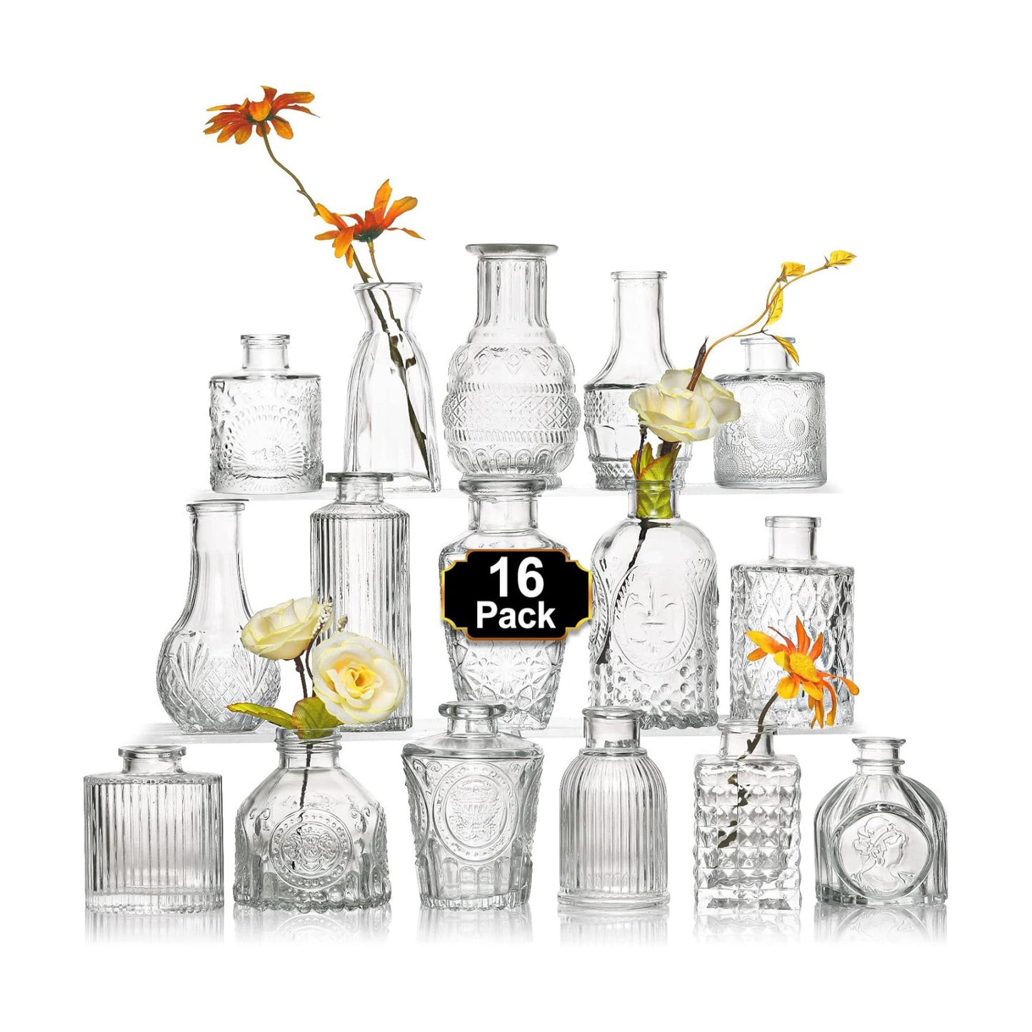 Glass Bud Vase Set / Clear / Set of 16