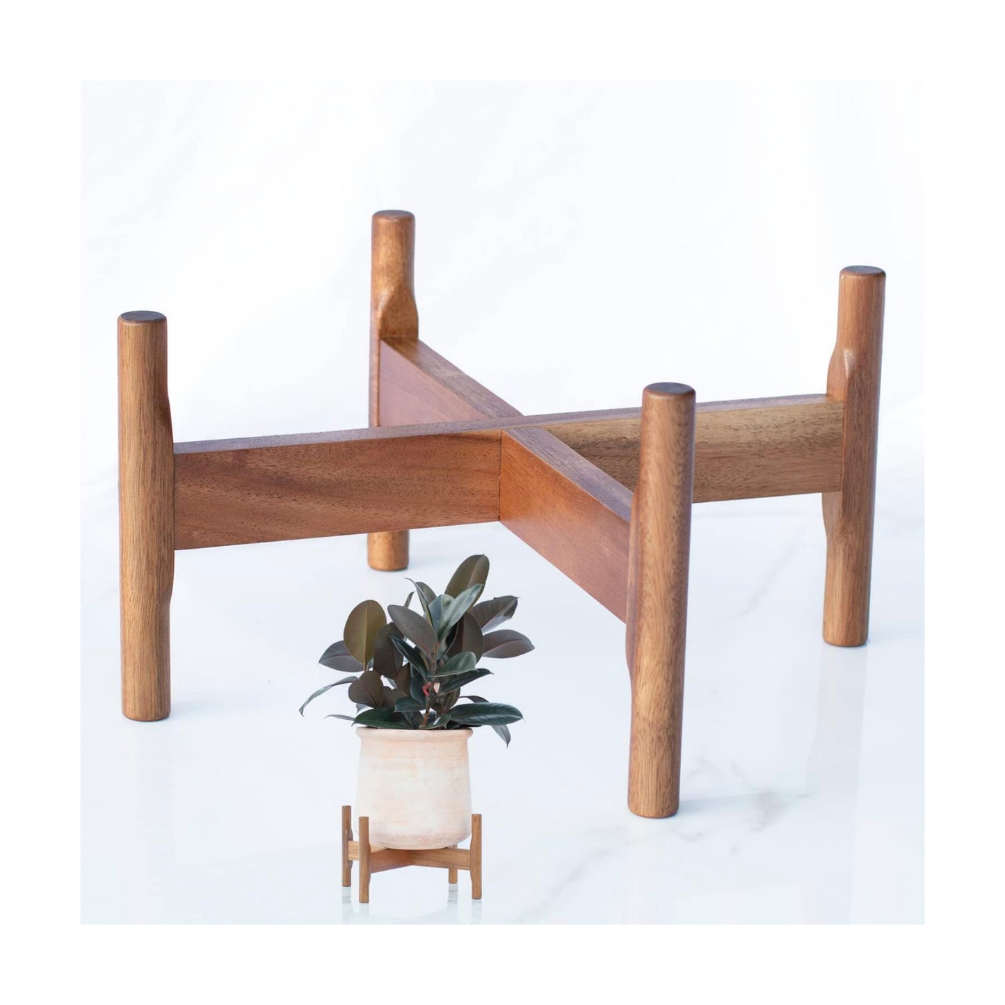 Macaw on Kapok Wood Plant Stand - Fits 8 10 12 to 14 inch Plant Pot - Acacia Solid Wood - Planter Stands for Indoor