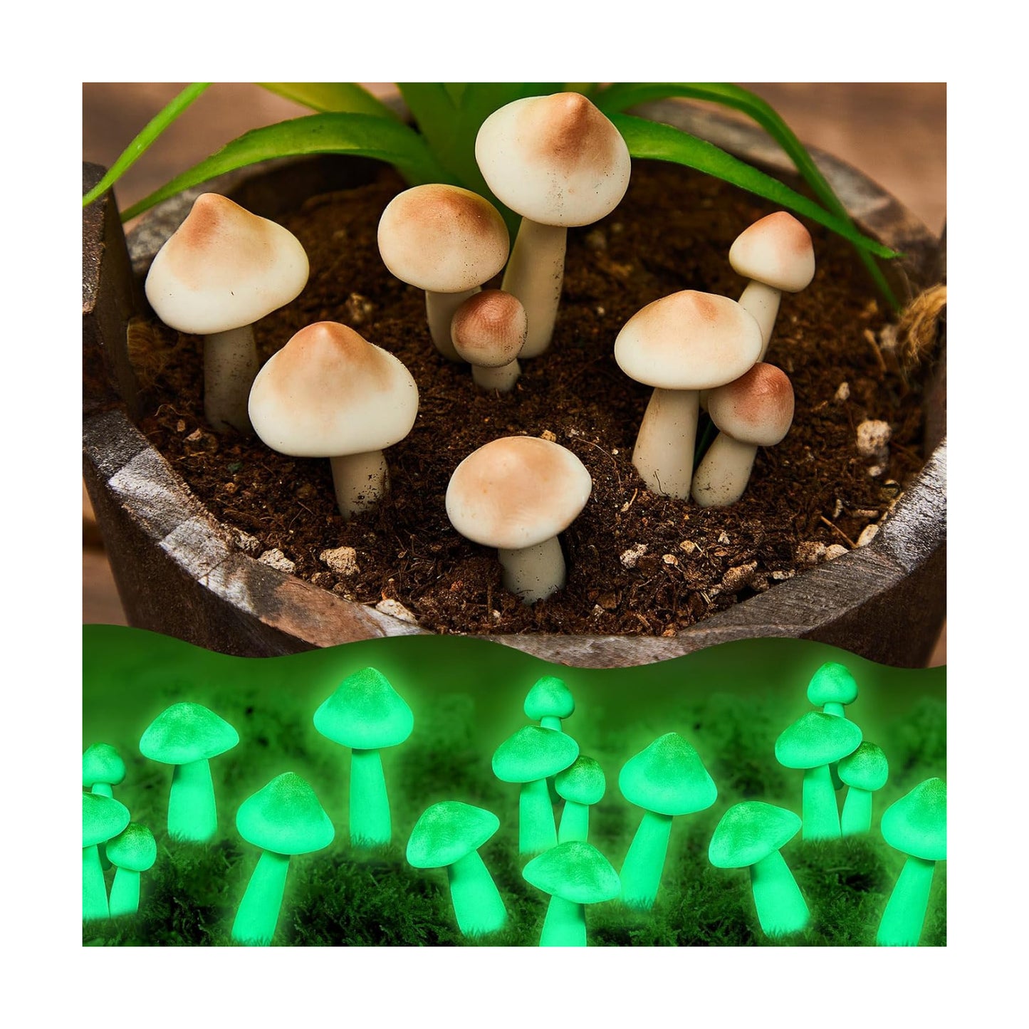 Luminous Mushroom Miniature Garden Mushrooms Outdoor Decor Waterproof Glow in The Dark / Set of 10