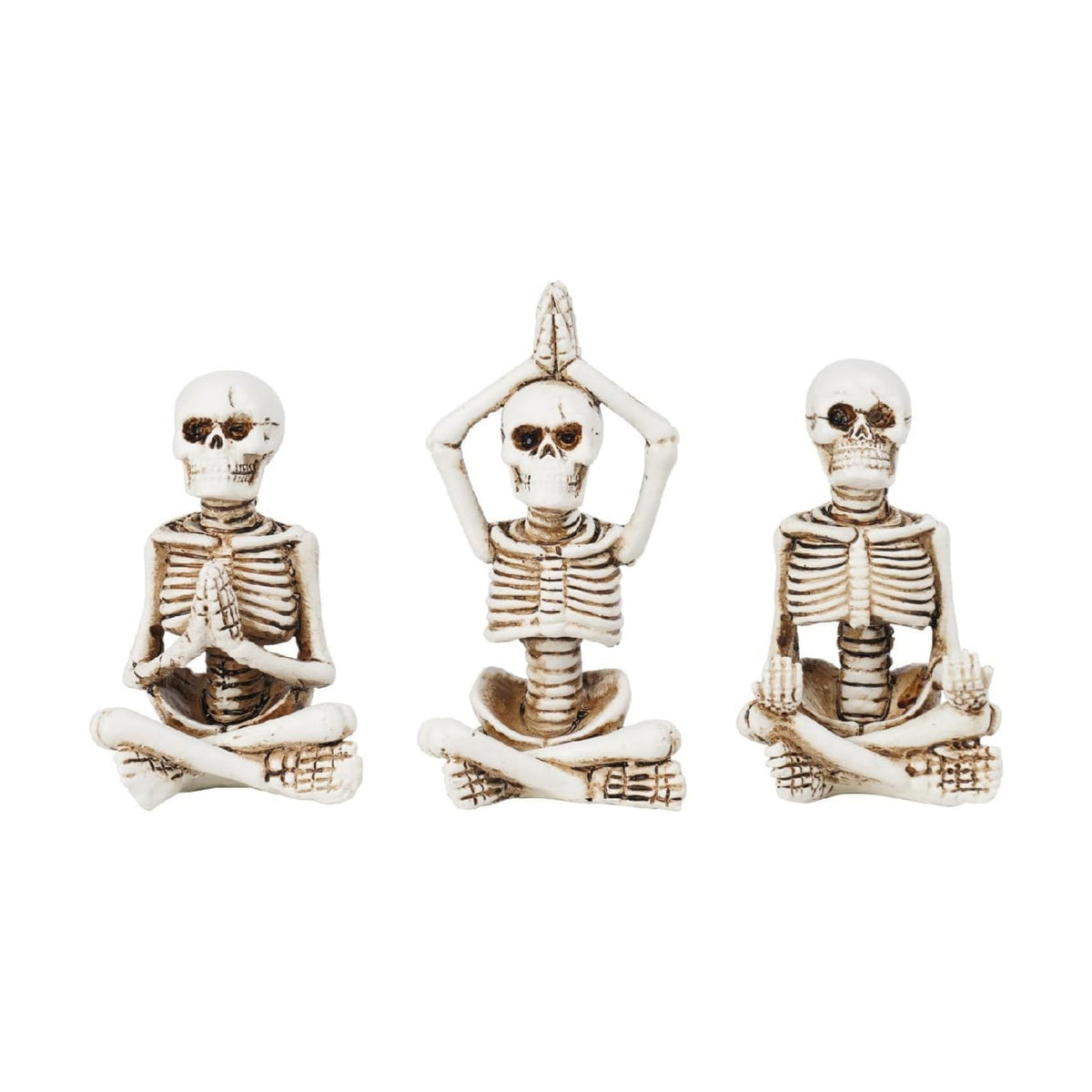 Newman House Studio Halloween Skeleton Decor - Yoga Skeleton Figurines