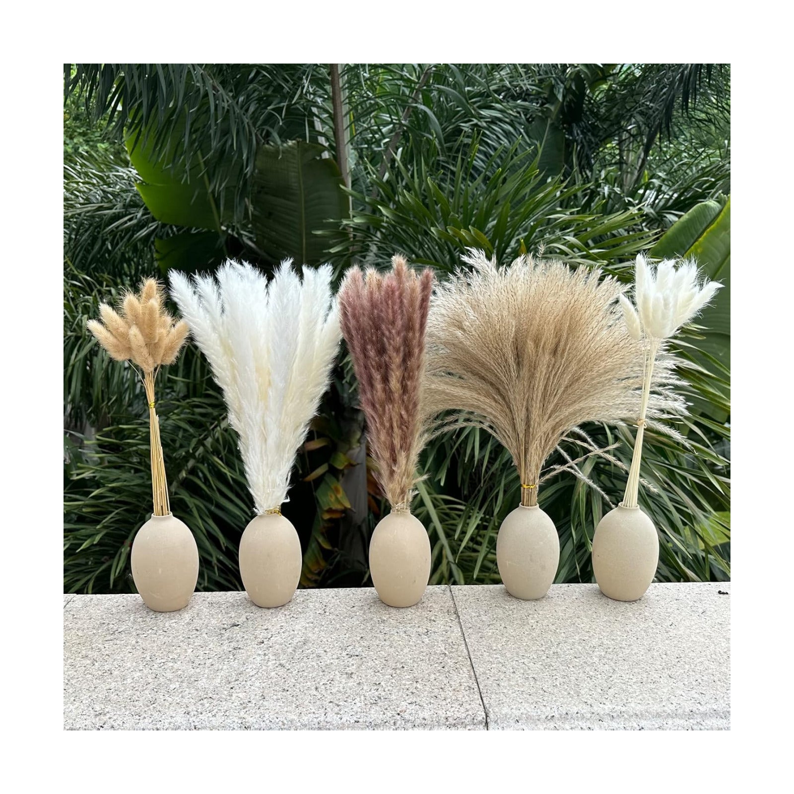 Pampas Grass Boho Home Decor 17- Dried Flowers-Pampas Grass Contains Bunny / Natural / Set of 150