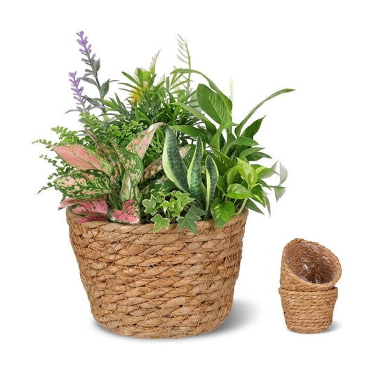 Wicker Planter / Hand-Woven Planter Basket