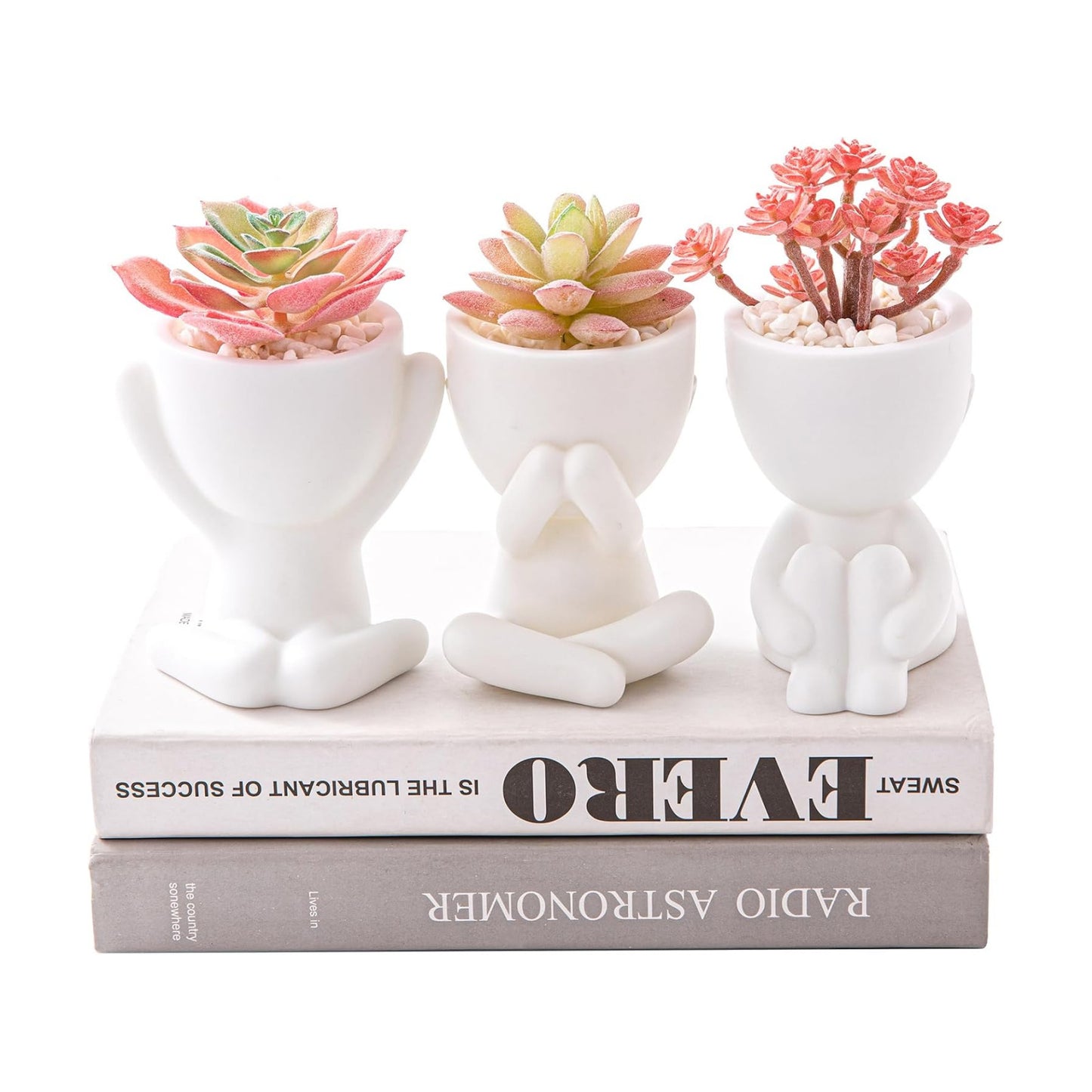 Artificial Plant Office Decor for Women and Men / Set, White Pots Pink Plant / Set of 3