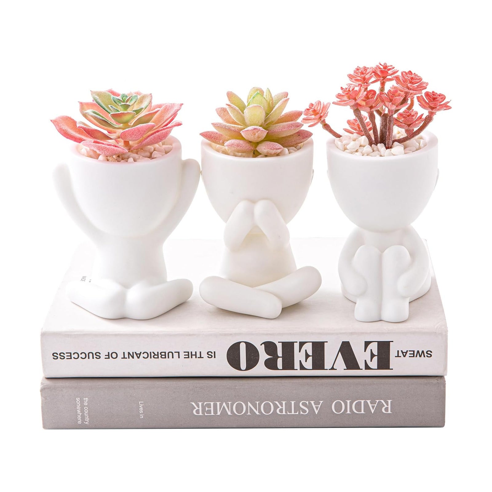 Artificial Plant Office Decor for Women and Men / Set, White Pots Pink Plant / Set of 3