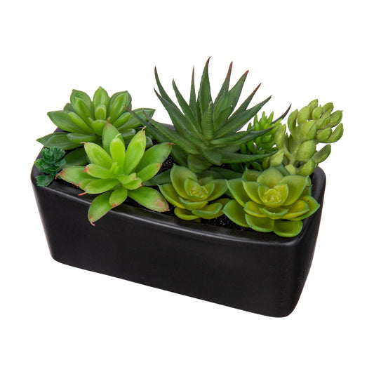Artificial Succulents Plants in Ceramic Planter Assorted Faux Succulents in Pots / Black