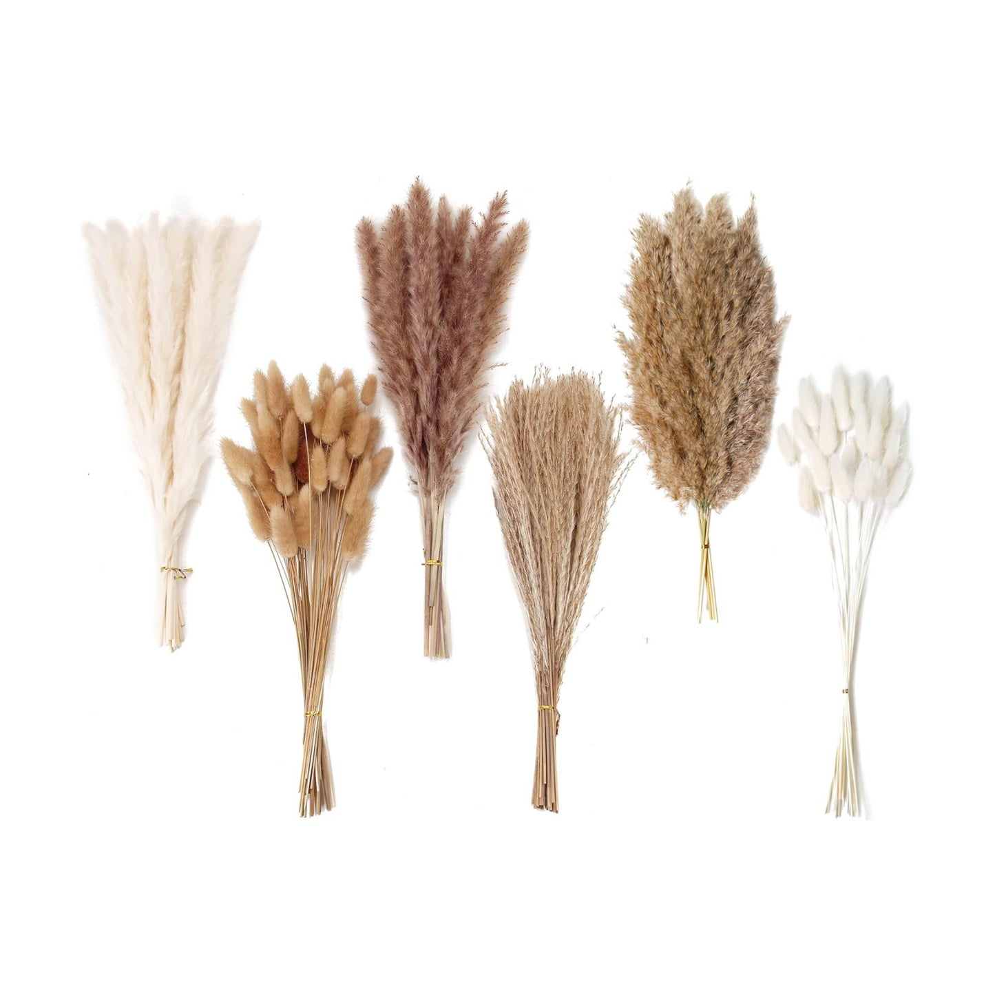 Dried Pampas Grass Decor, 120 PCS Pampas Grass with Bunny Tails Dried Flowers, Reed Grass Bouquet for Wedding, Boho