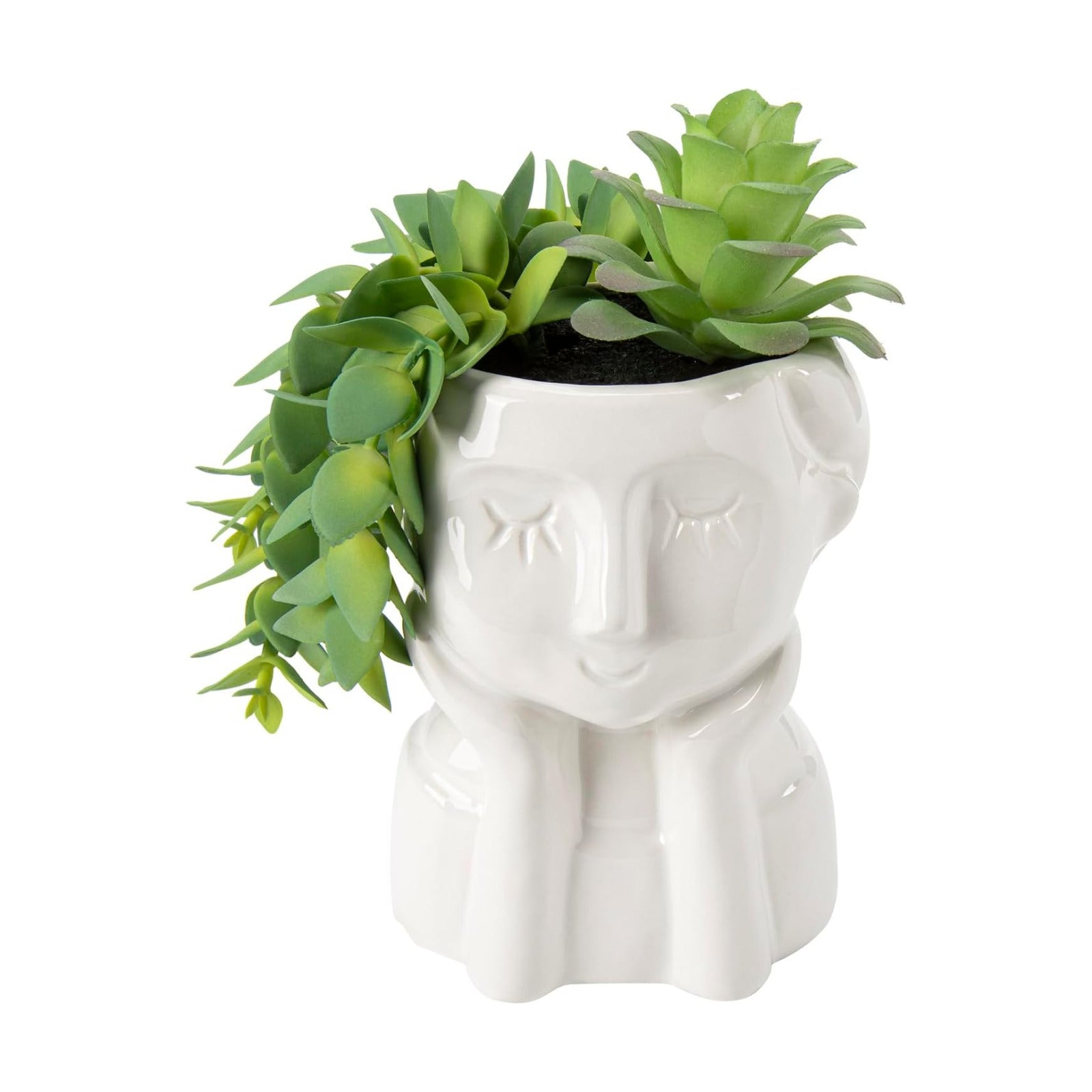 Fake Succulents Plants Artificial Succulents in Ceramic Pots Fake Potted Plants Faux Plants / Green
