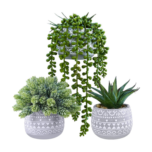 Assorted Small Potted Succulent Plants Artificial Aloe Hops String of Pearls / Gray / Set of 3