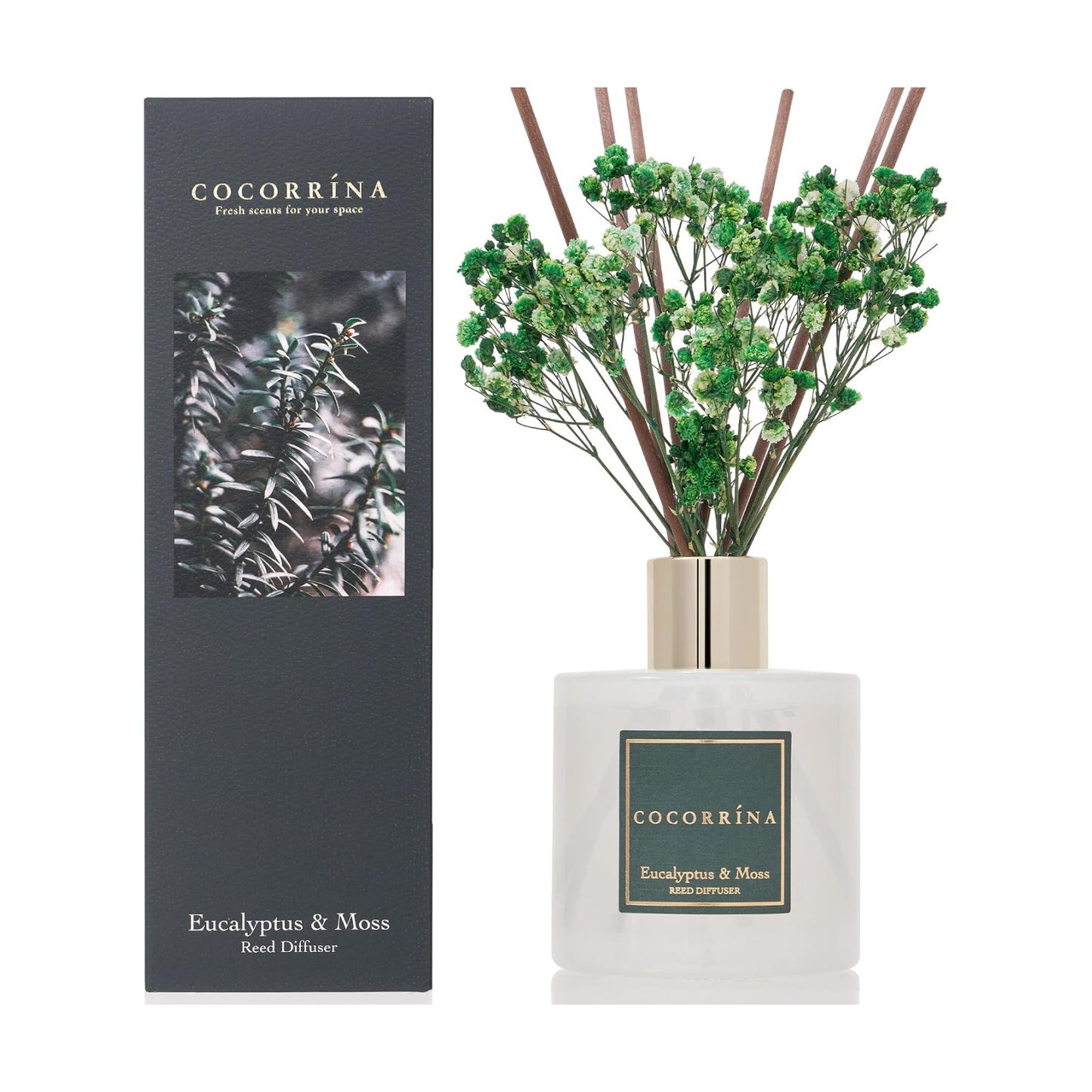 Cocorrína Reed Diffuser Sets- Eucalyptus & Moss Scented Diffuser with Sticks Home Fragrance Reed Diffuser for Bathroom