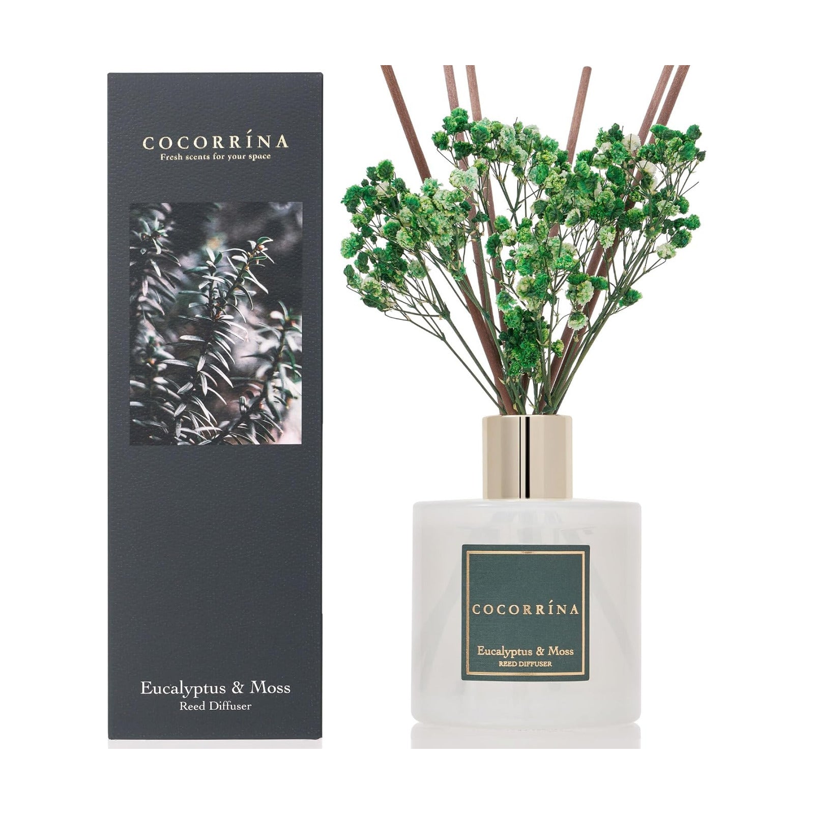 Cocorrína Reed Diffuser Sets- Eucalyptus & Moss Scented Diffuser with Sticks Home Fragrance Reed Diffuser for Bathroom