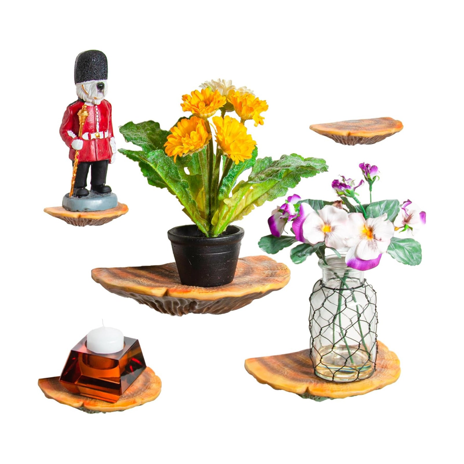 5-Piece Turkey Floating Shelves for Decorating Wall / Gill Mushroom