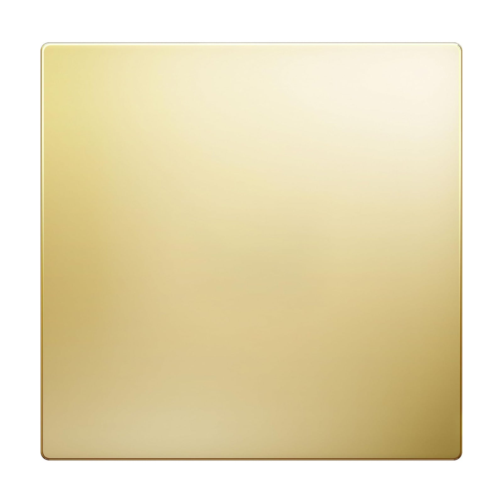 LIDER Double Blank Screwless Metal-Surface Wall Plate, Stainless Steel | Mid-Size 2-Gang 4.88” X 4.92”, Temperature And
