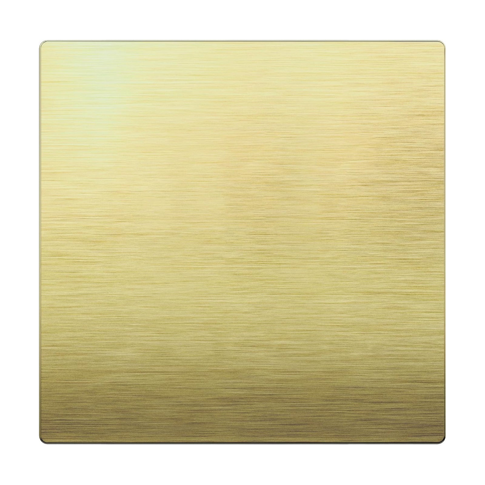 LIDER Double Blank Screwless Metal-Surface Wall Plate, Stainless Steel | Mid-Size 2-Gang 4.88” X 4.92”, Temperature And