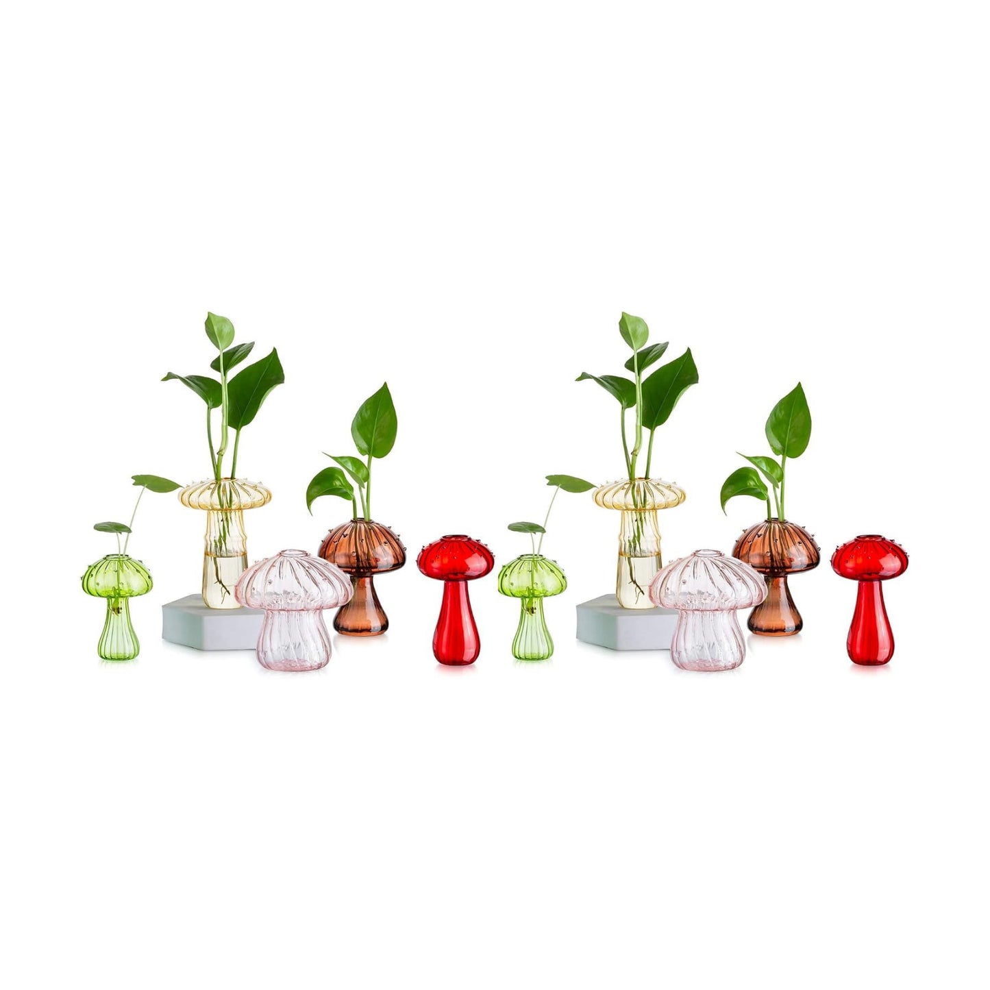 Glass Terrariums for Plants / Colorful / Set of 10