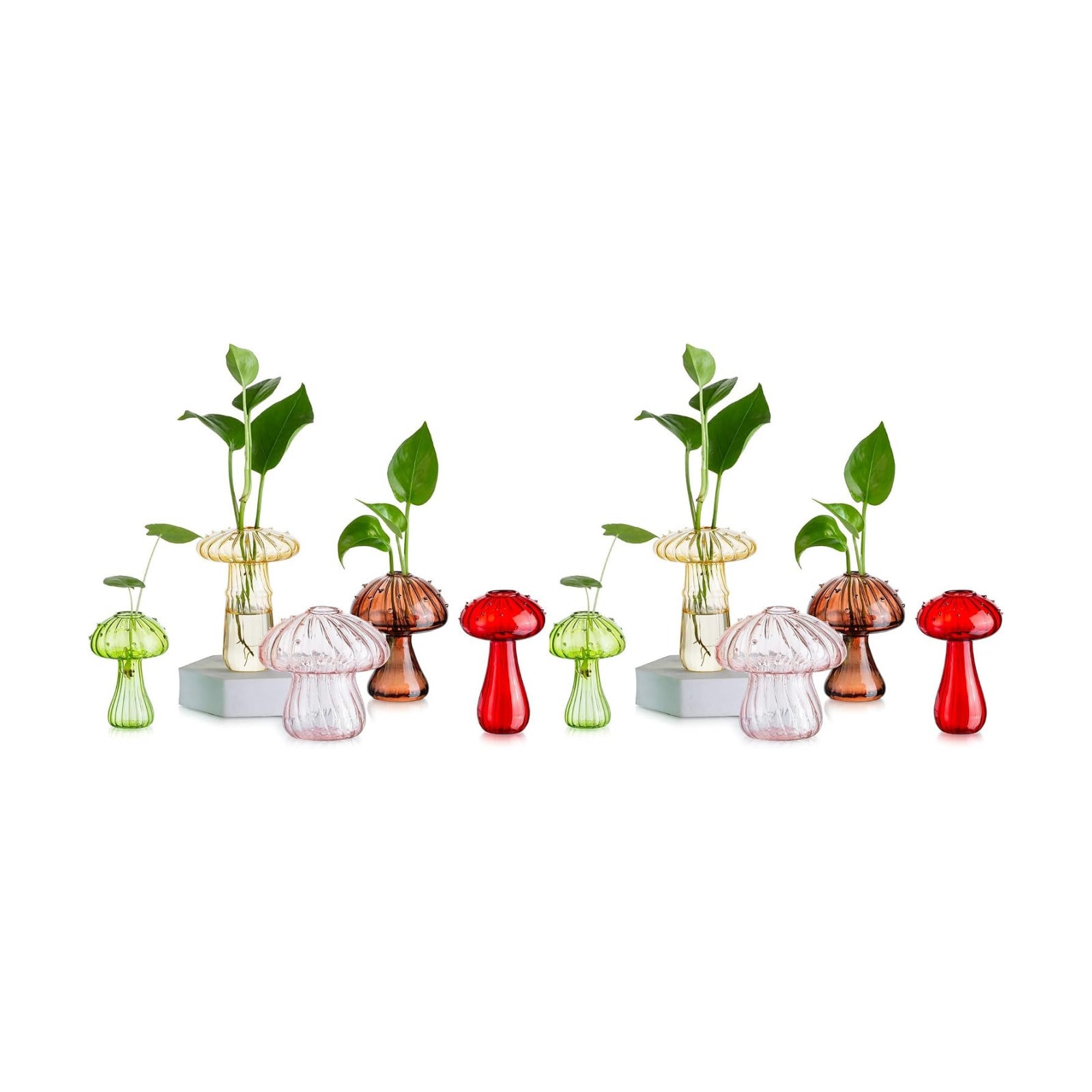 Glass Terrariums for Plants / Colorful / Set of 10