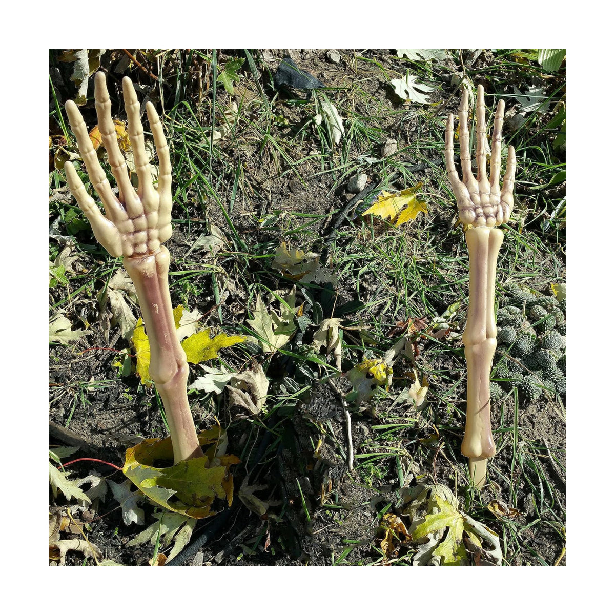 Halloween Skeleton Stakes Decorations, Creepy Hands Arms with Lawn Stakes, Realistic Skeleton Bones for Outdoor Party Yard Lawn Garden Graveyard Haunted House Decor