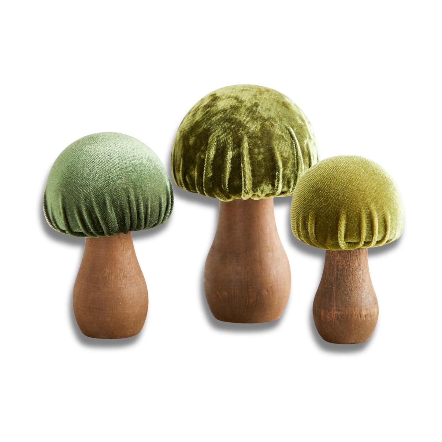 Gift for Nature / Green / Set of 3