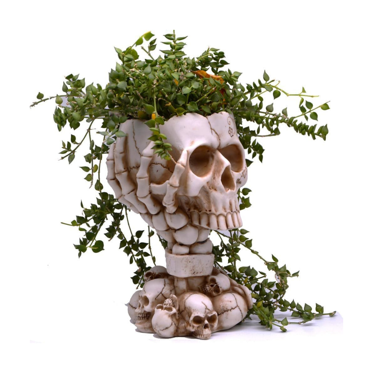 Skull Planter, Goth Flower Pot, Gothic Plant Pots, Succulent Pots with Drainage, Halloween Plant Pot, Tall White Skulls Statue, Funny Desk Home Decor, Cool Figurines Flower Pots Gift for Mother Father