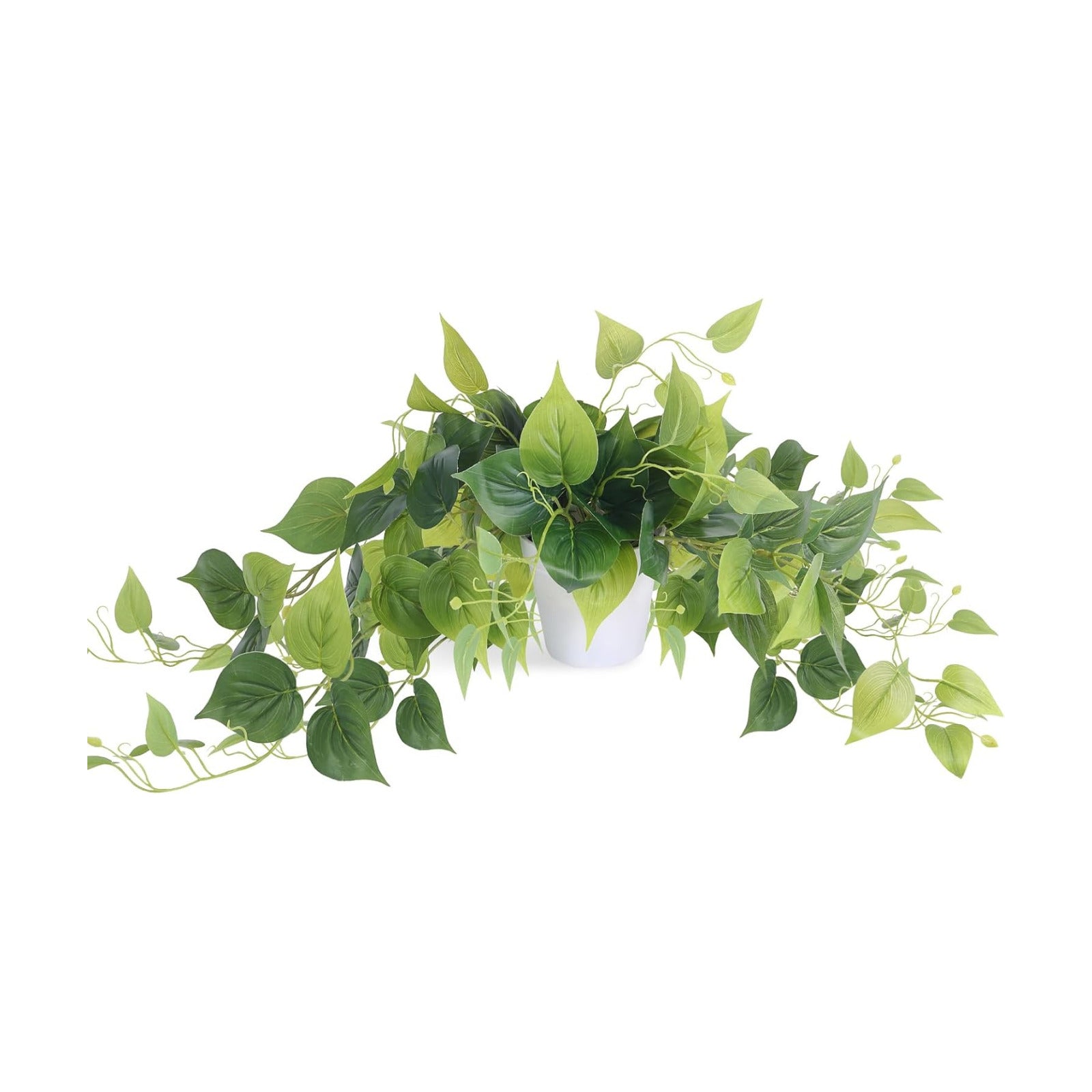 Fake Plants Artificial Scindapsus Aureus in Pots / White Scindapsus Aureus