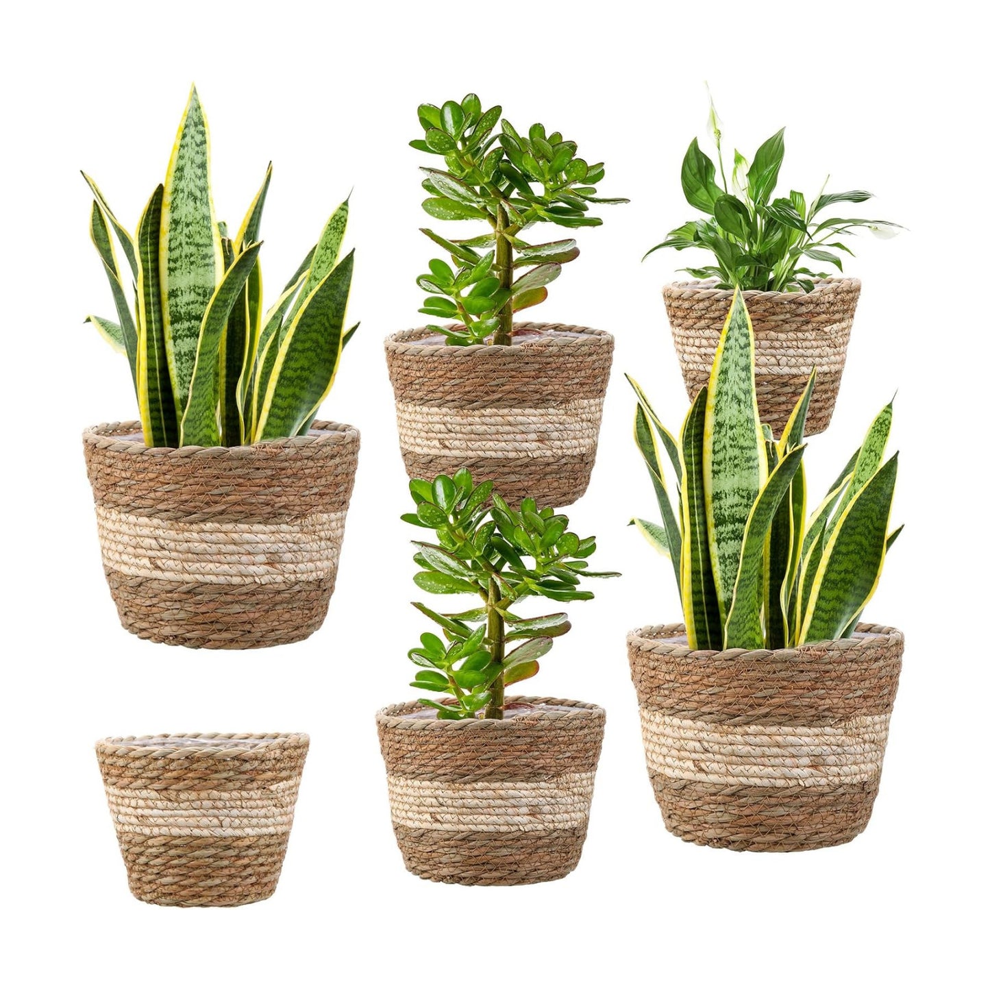 Seagrass Planter Basket Flower Pots Cover Plant Baskets Hand Woven Plant Basket / Novel / Set of 6