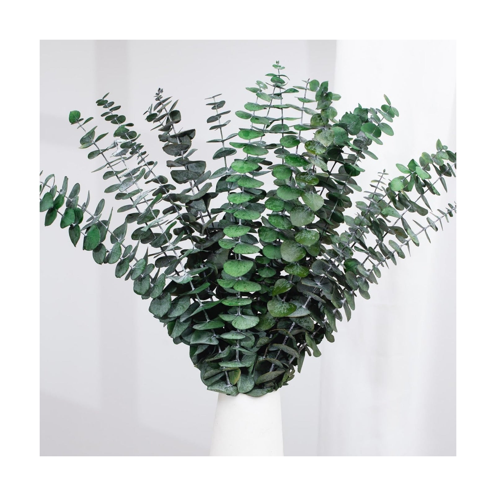 17'' Natural Fresh Eucalyptus Leaves Branches Hanging for Shower / Green / Set of 16