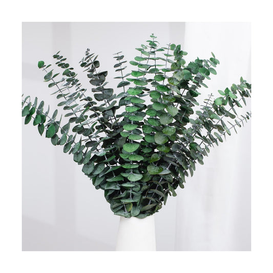 17'' Natural Fresh Eucalyptus Leaves Branches Hanging for Shower / Green / Set of 16
