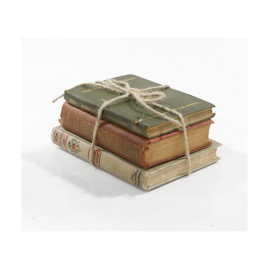 Small Book Accent / Earth Tone