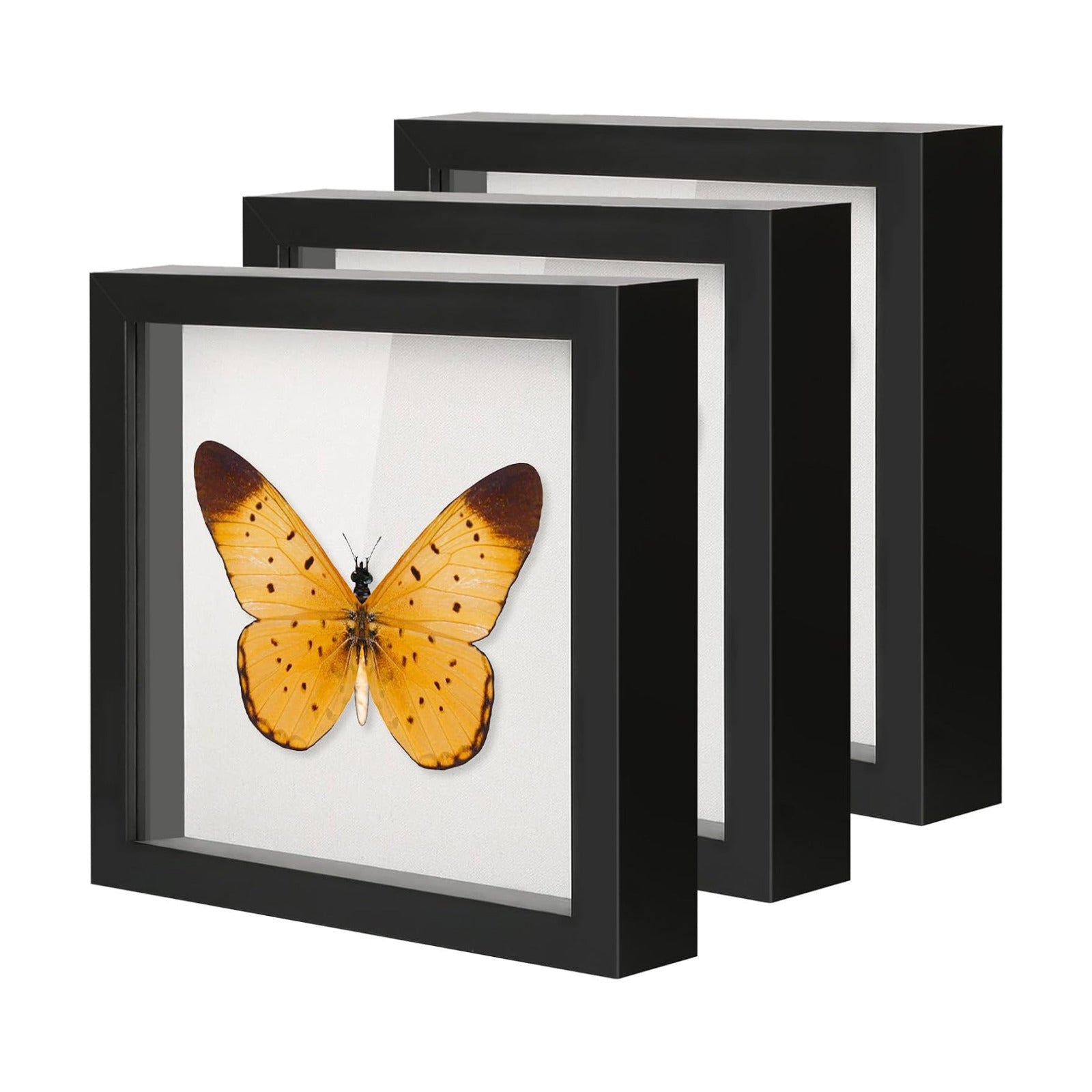 QDSSDECO 10" x 10" Shadow Box Display Case, Linen Back, 3 Pack Black | Deep interior, real glass front, wall or
