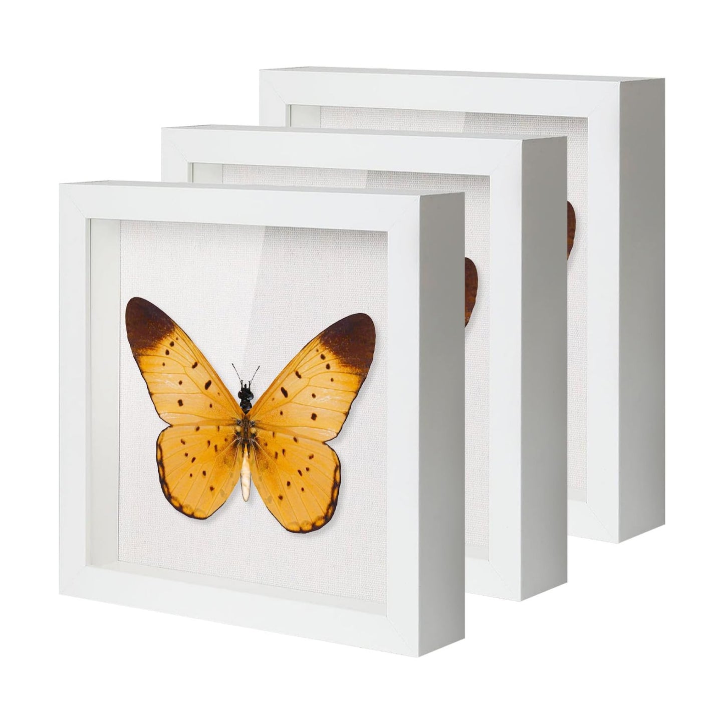 QDSSDECO 10" x 10" Shadow Box Display Case, Linen Back, 3 Pack White | Deep interior, real glass front, wall or