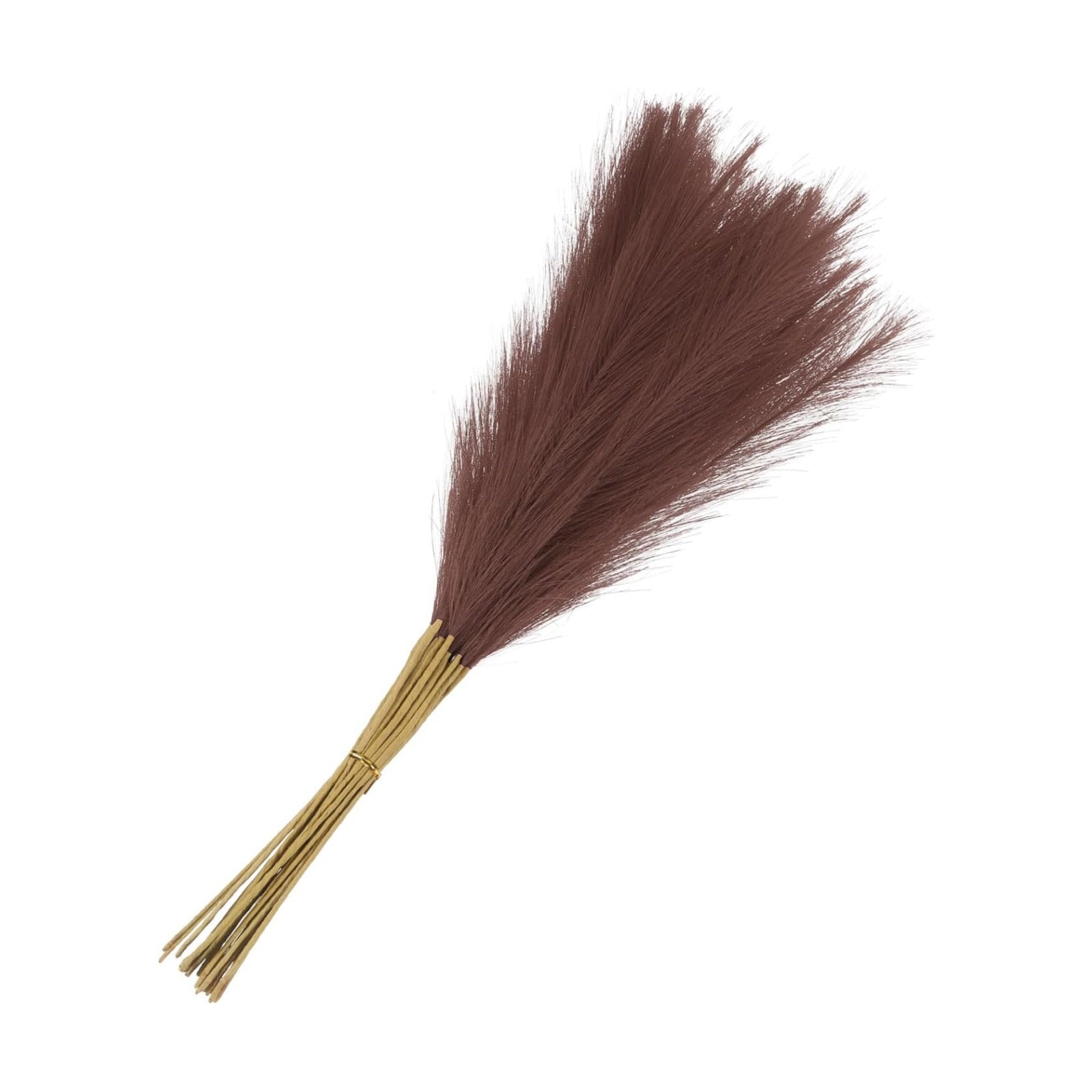 Faux Pampas Grass / Dark Brown / Set of 15