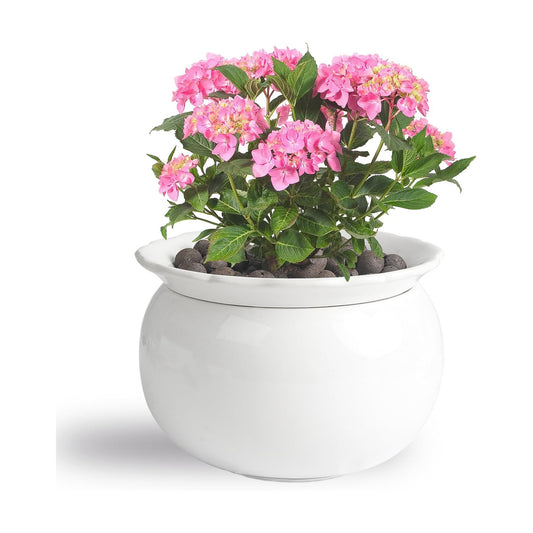 BUYMAX 6 Inch Self Watering Ceramic African Violet Pot Flower Pot Indoor