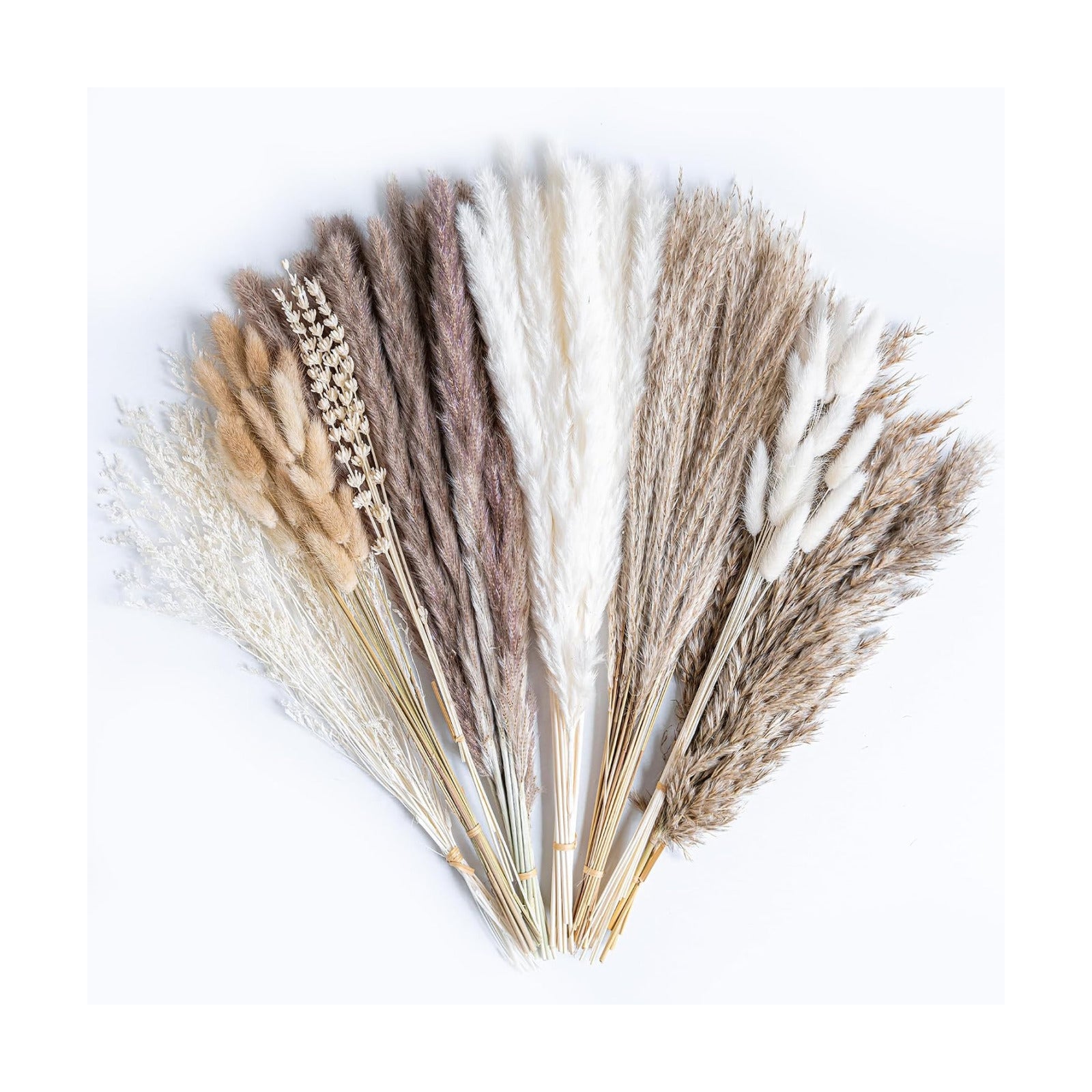 Dried Pampas Grass Boho Home Decor Bouquet Phragmites Dried Flowers Bouquet / Natural / Set of 130