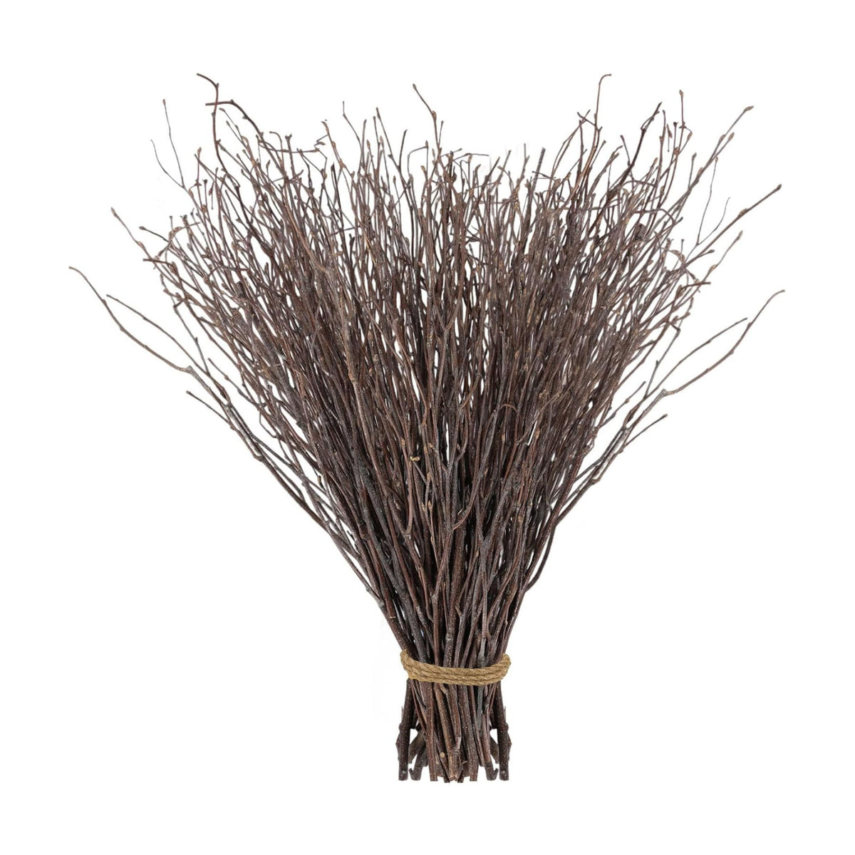 60Pcs Real Dried Birch Twigs Branches 16 Natural Decorative Birch Branches