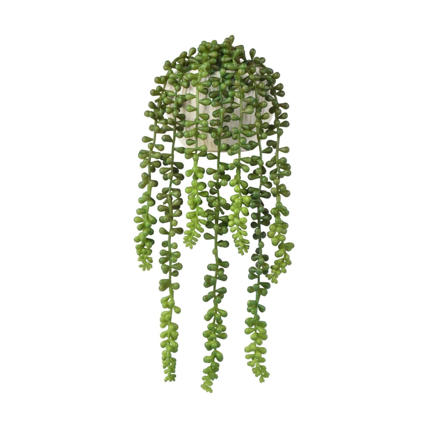 Succulents Plants Artificial / Ceramic Pot Artificial Faux String of Pearls Suitable
