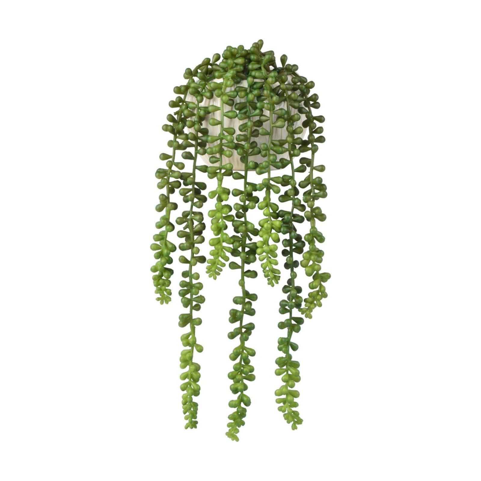Succulents Plants Artificial / Ceramic Pot Artificial Faux String of Pearls Suitable